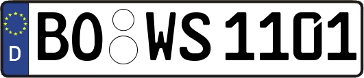 BO-WS1101