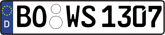 BO-WS1307