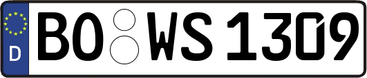 BO-WS1309