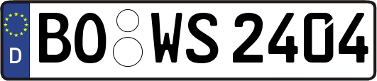 BO-WS2404