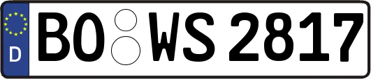 BO-WS2817