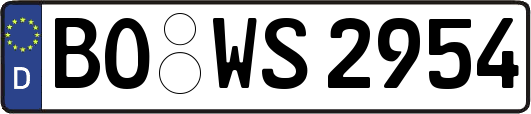 BO-WS2954