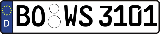 BO-WS3101