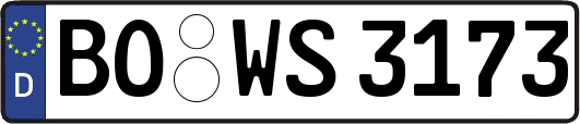 BO-WS3173