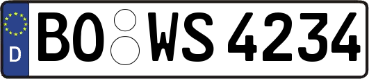 BO-WS4234
