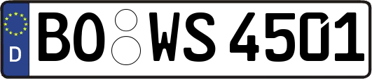 BO-WS4501