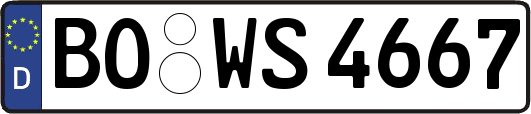 BO-WS4667