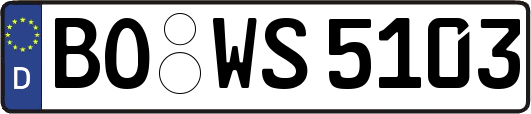 BO-WS5103