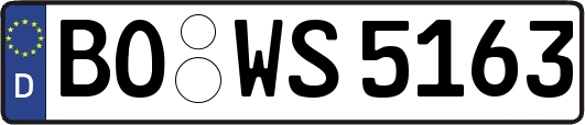 BO-WS5163