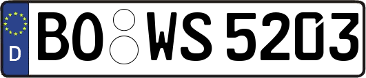 BO-WS5203