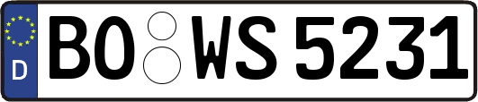 BO-WS5231