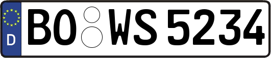 BO-WS5234