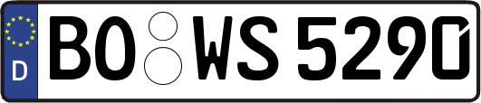 BO-WS5290