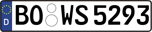 BO-WS5293