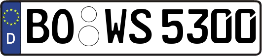 BO-WS5300