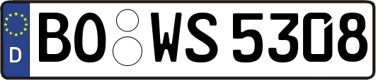 BO-WS5308