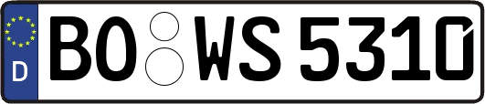 BO-WS5310