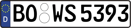 BO-WS5393