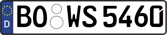 BO-WS5460