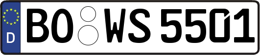 BO-WS5501