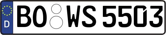 BO-WS5503