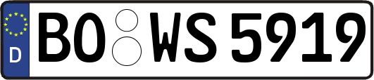 BO-WS5919