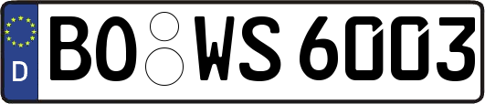 BO-WS6003