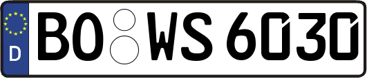 BO-WS6030
