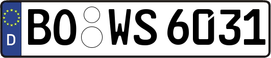 BO-WS6031