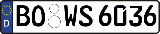 BO-WS6036