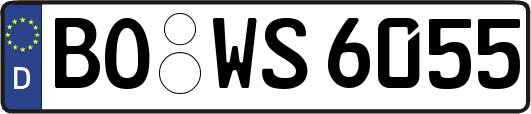 BO-WS6055