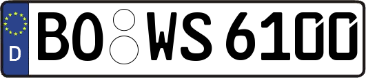 BO-WS6100