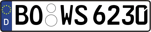 BO-WS6230