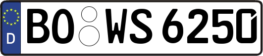BO-WS6250