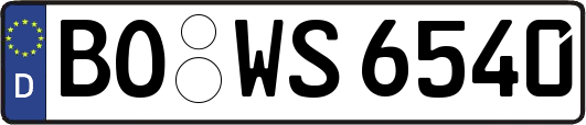 BO-WS6540