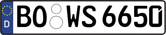 BO-WS6650