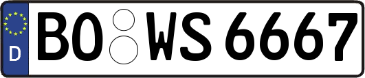 BO-WS6667