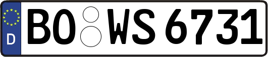BO-WS6731