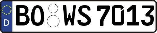 BO-WS7013