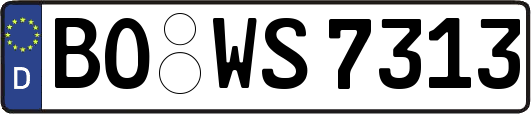 BO-WS7313