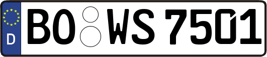 BO-WS7501