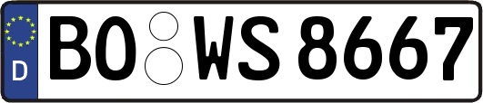 BO-WS8667