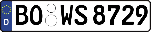 BO-WS8729