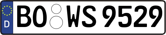 BO-WS9529