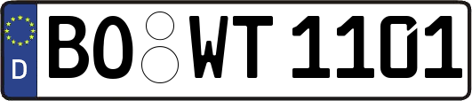 BO-WT1101