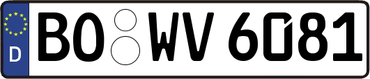 BO-WV6081