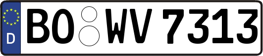 BO-WV7313