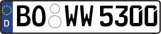 BO-WW5300