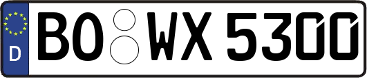 BO-WX5300