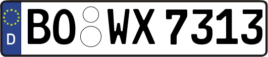 BO-WX7313